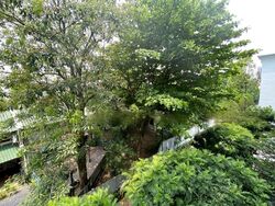 38 Jervois (D10), Apartment #604869571
